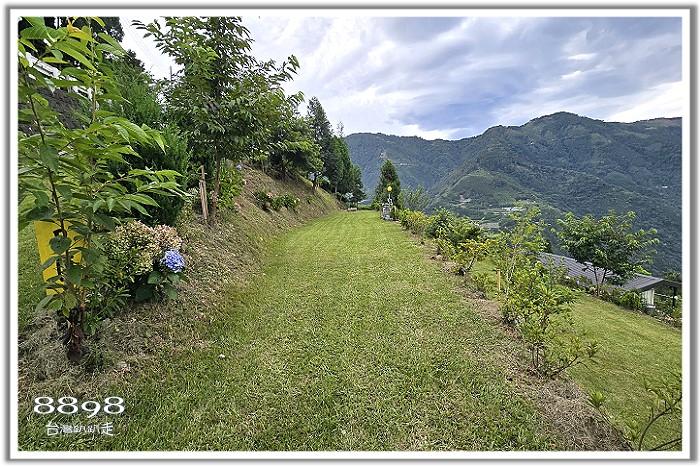 觀霧露營區．觀霧星空夜語露營區